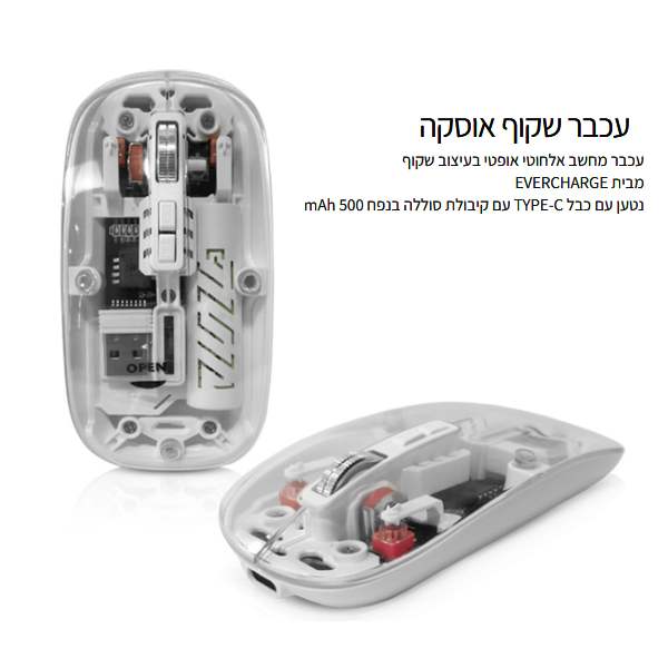 �����, ���� ���� ������ ����� ����� ���� ���� �� ��� C - TYPE �� ������ ����� ���� 500 ���               