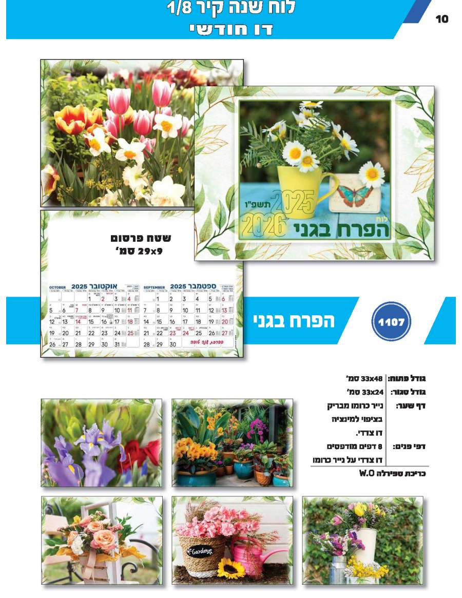 ���� ����, ��� ��� 8 / 1 ����� ����� 6 ����, ����� ������ *������� �� ����� ��� ��                       