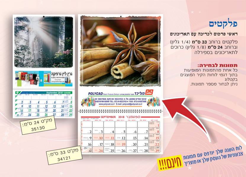 ��� ��� ��� ����� ���� 8 / 1 �� 4 / 1 ������ + ������� 24 �� 33 �@quot;� ������ ������ ����� �������     