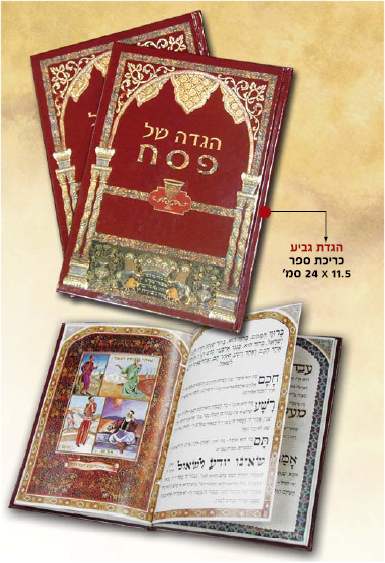 ���� ��� �����, ���� 17/25-����� ��� 48 ����, ����� ������ ������ ������                                 