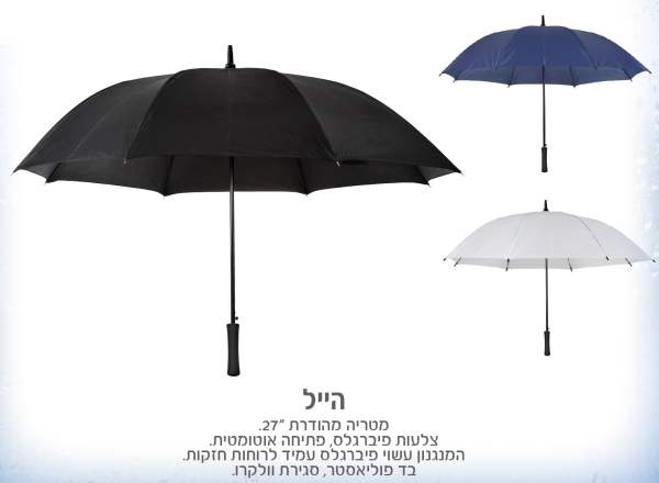 ����, ���� ������ " 27 ����� ������� ����� �������� ���� ������ ����� �� ������� ���� ������        