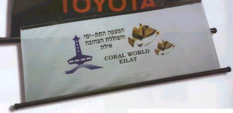 ����� ����� ����                                                                                         