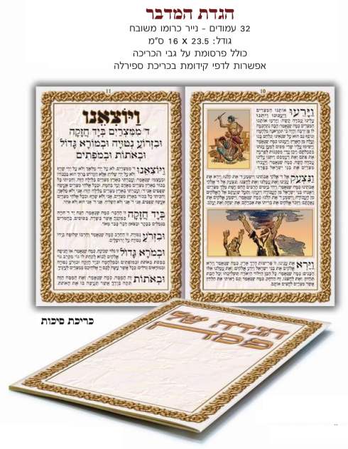 ���� ��� ����� �����, ����� ��� �����, 16/23.5 32 ����                                                   