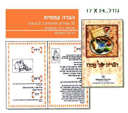 ���� ��� ����� �����, ����� ����� ����� �������+�������, ���� ���� 115 ���, 32 ���� 17/24                