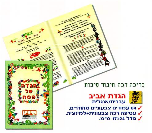 ���� ��� ����� �����/������, ����� �����, ���� ���� 115 ���, 64 ���� 17/24                               