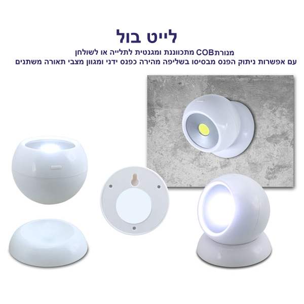 ���� ���, ����� CREE �������� ������� ���� ����� ������                                                  