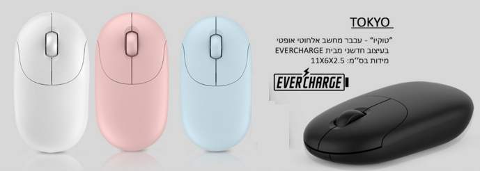 �����, ���� ���� ������ ����� ������ ����� ���� egrahcreve 2.5 * 6 * 11 �"�                         