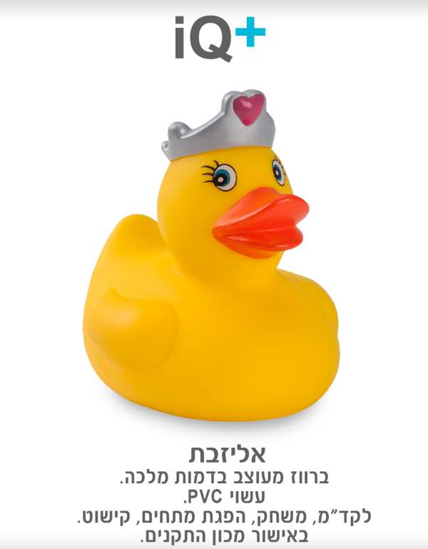 ������, ����� ����� ����� ���� ���� PVC , �����, ���� �����, ����� . ������ ���� ������                  