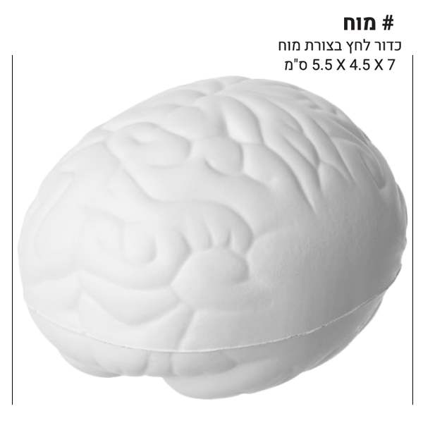 ���, ���� ��� ����� ��� 7 * 4.5 * 5.5 ��                                                                 